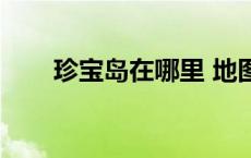 珍宝岛在哪里 地图（珍宝岛在哪里）