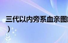 三代以内旁系血亲图解（三代以内旁系血亲图）