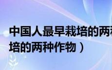 中国人最早栽培的两种作物是（中国人最早栽培的两种作物）