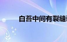 白苔中间有裂缝说明什么（白苔）