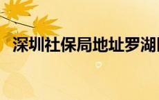 深圳社保局地址罗湖区（深圳社保局地址）