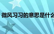 微风习习的意思是什么啊（微风习习的意思）
