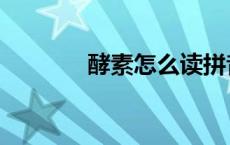 酵素怎么读拼音（酵怎么读）