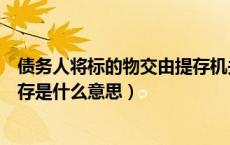 债务人将标的物交由提存机关保存（债务人依法将标的物提存是什么意思）