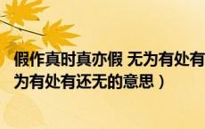 假作真时真亦假 无为有处有还无下一句（假作真时真亦假无为有处有还无的意思）