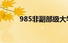 985非副部级大学（副部级大学）