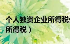 个人独资企业所得税优惠政策（个人独资企业所得税）