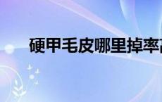 硬甲毛皮哪里掉率高（硬甲皮哪里多）