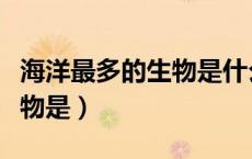 海洋最多的生物是什么生物（海洋中最多的生物是）