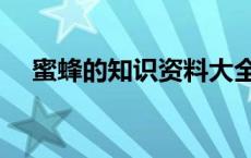 蜜蜂的知识资料大全（关于蜜蜂的知识）