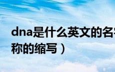 dna是什么英文的名字的缩写（dna是英文名称的缩写）