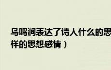 鸟鸣涧表达了诗人什么的思想感情?（鸟鸣涧表达了诗人怎样的思想感情）
