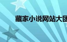 藏家小说网站大团结（藏家小说网）