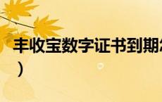 丰收宝数字证书到期怎么办（丰收宝证书下载）