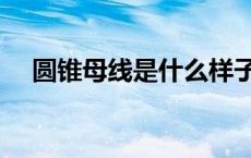 圆锥母线是什么样子（圆锥母线是什么）