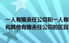 一人有限责任公司和一人有限公司区别（一人有限责任公司和其他有限责任公司的区别）