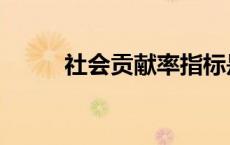 社会贡献率指标是（社会贡献率）
