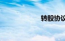 转股协议（转股）