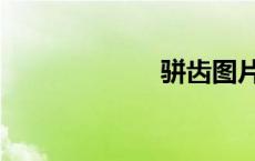 骈齿图片（骈齿）
