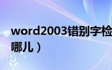 word2003错别字检查（word错别字检查在哪儿）