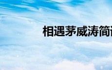 相遇茅威涛简谱（茅威涛吧）