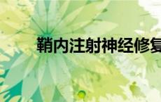 鞘内注射神经修复治疗（鞘内注射）