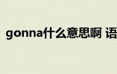 gonna什么意思啊 语言（gonna什么意思）