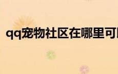 qq宠物社区在哪里可以找到（qq宠物社区）