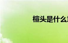 楦头是什么意思（楦头）