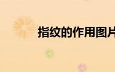 指纹的作用图片（指纹的作用）