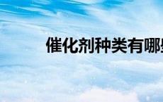 催化剂种类有哪些（催化剂种类）