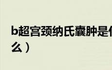 b超宫颈纳氏囊肿是什么（宫颈纳氏囊肿是什么）