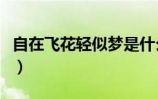 自在飞花轻似梦是什么意思（自在飞花轻似梦）