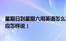 星期日到星期六用英语怎么写（星期日到星期六的英语单词应怎样说）