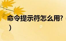 命令提示符怎么用?（命令提示符可以怎么玩）
