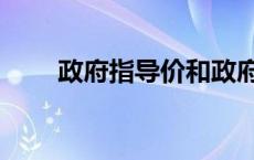 政府指导价和政府定价（政府定价）