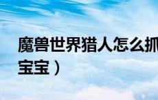 魔兽世界猎人怎么抓宝宝（wow猎人怎么抓宝宝）