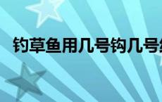钓草鱼用几号钩几号线（钓草鱼用几号钩）