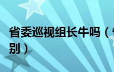 省委巡视组长牛吗（省委巡视组组长是什么级别）