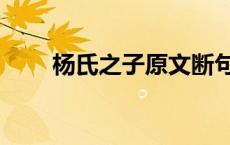 杨氏之子原文断句（杨氏之子原文）