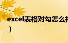 excel表格对勾怎么打出来（对勾怎么打出来）