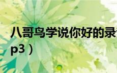 八哥鸟学说你好的录音（教八哥鸟说话你好mp3）