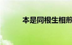 本是同根生相煎何太急是谁写的