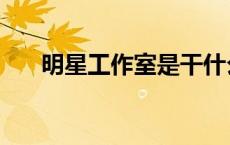 明星工作室是干什么的（明星工作室）