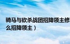 骑马与砍杀战团招降领主修改288改成（骑马与砍杀战团怎么招降领主）