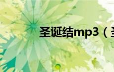圣诞结mp3（圣诞结mv现场）