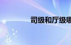 司级和厅级哪个大（司级）