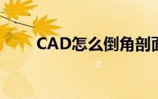 CAD怎么倒角剖面（cad怎么倒角）