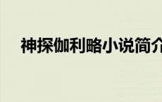 神探伽利略小说简介（神探伽利略小说）