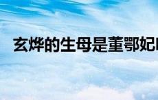 玄烨的生母是董鄂妃吗（玄烨是哪个皇帝）